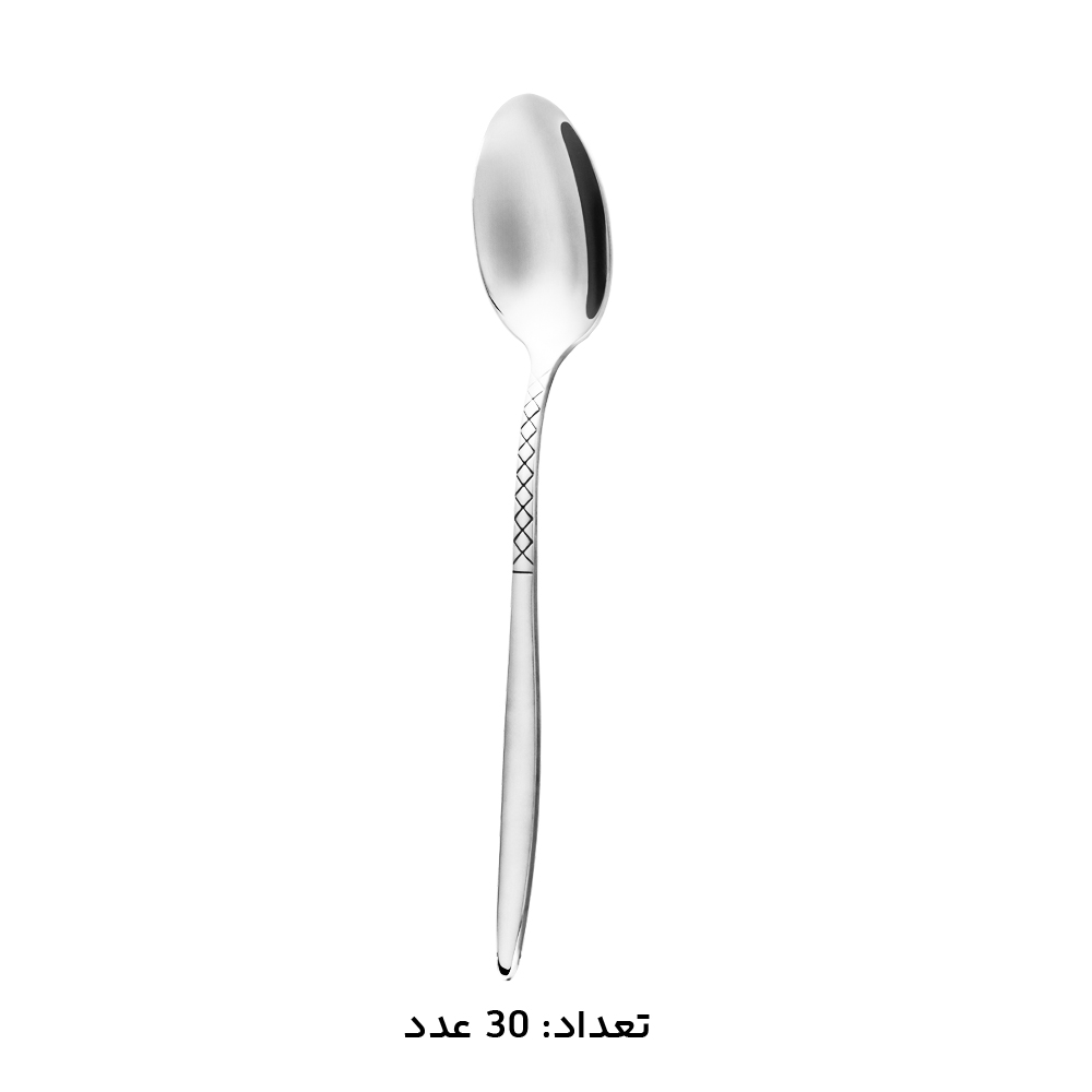 قاشق غذا خوری سرویس قاشق چنگال کابان کد 166