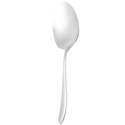 کفگیر بزرگ استیل کد DF050-1