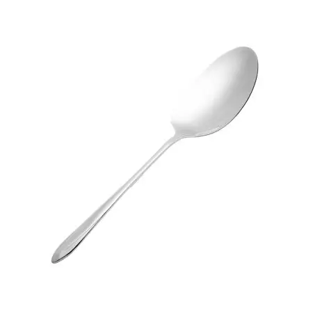 کفگیر بزرگ استیل کد DF020-1