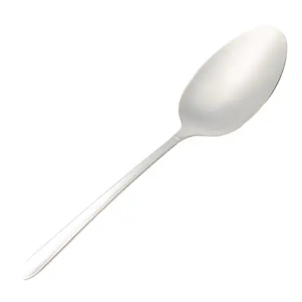 کفگیر بزرگ استیل MGS کد DF008-1