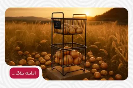 راهنمای خرید سبد سیب زمینی پیاز