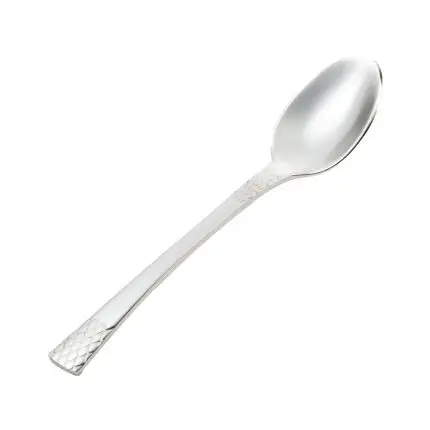 قاشق چای خوری استیل رولنزا