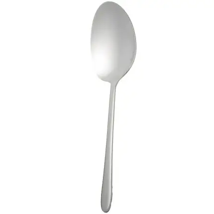 کفگیر بزرگ استیل MGS کد DF008