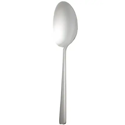 کفگیر بزرگ استیل MGS کد DF043